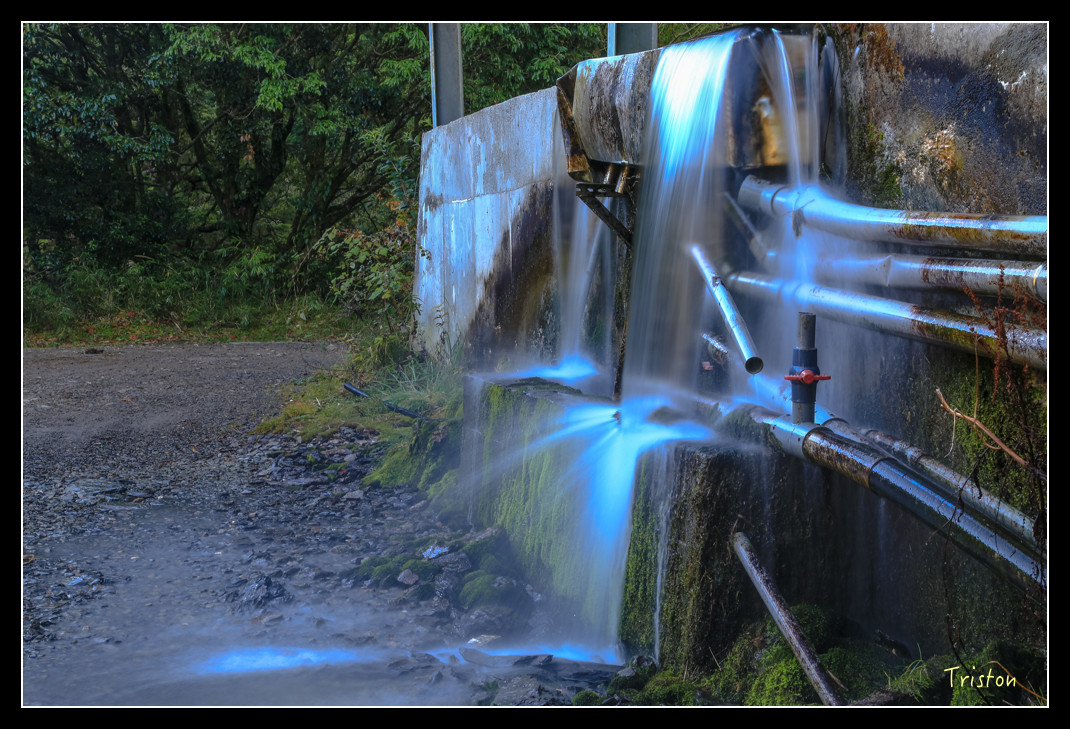 JH1A0847.jpg - 20151205 合歡溪步道、108K楓之谷