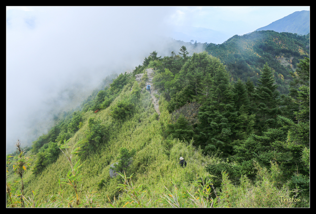 IMG_8774.jpg - 20151017 郡大林道、望鄉山、郡大山