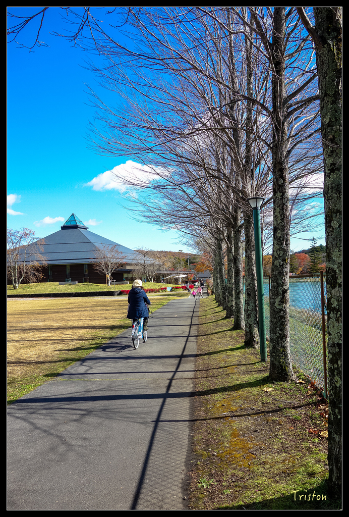 DSC00301.jpg - 20151031 秋天的童話-貴婦東京輕井澤紀行