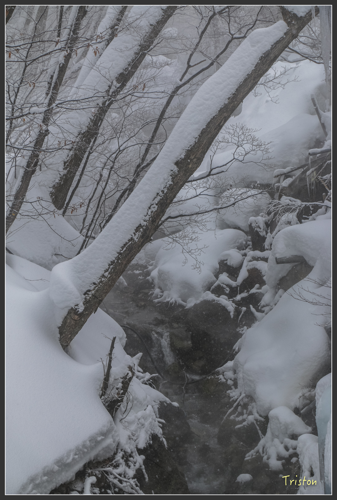2016ZAO-01188.jpg - 20160131 日本藏王溫泉滑雪親子行