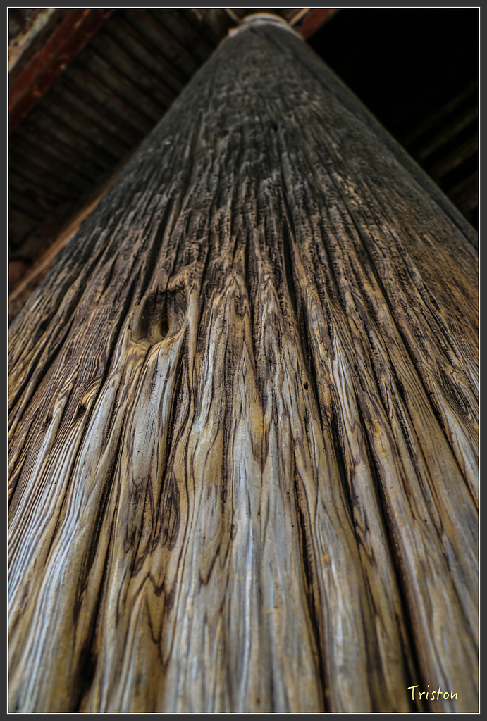 IMG_4322.jpg - 20160323 日本熊野古道健行