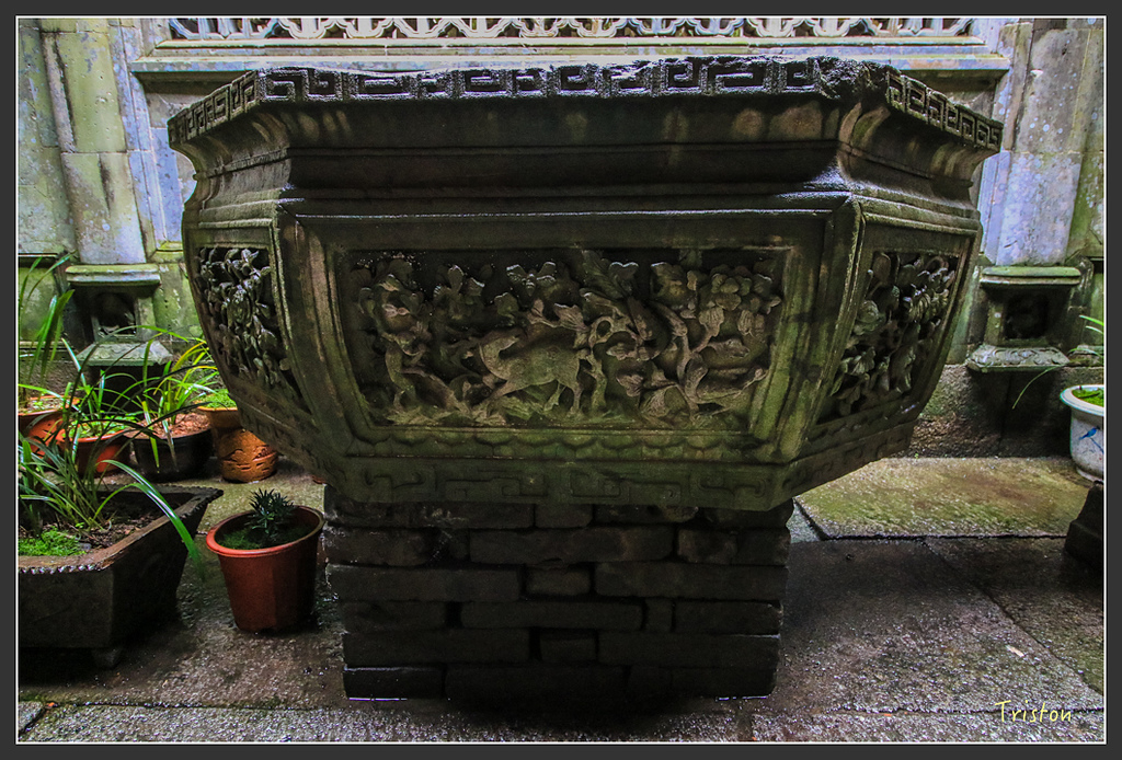 IMG_6636.jpg - 20160409 武夷山之旅