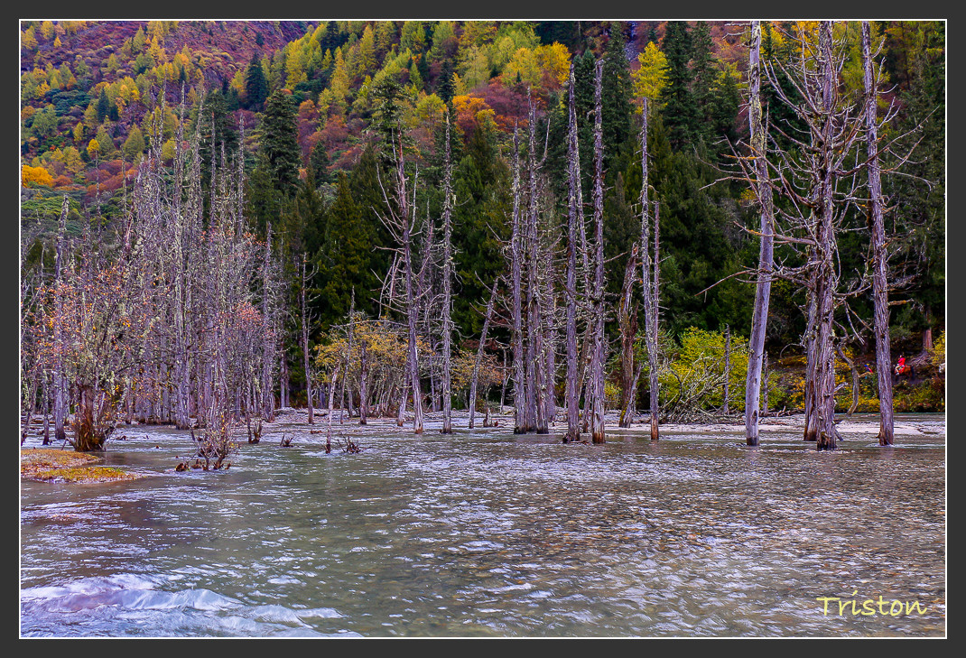 _MG_0988.jpg - 20161013 稻城亞丁