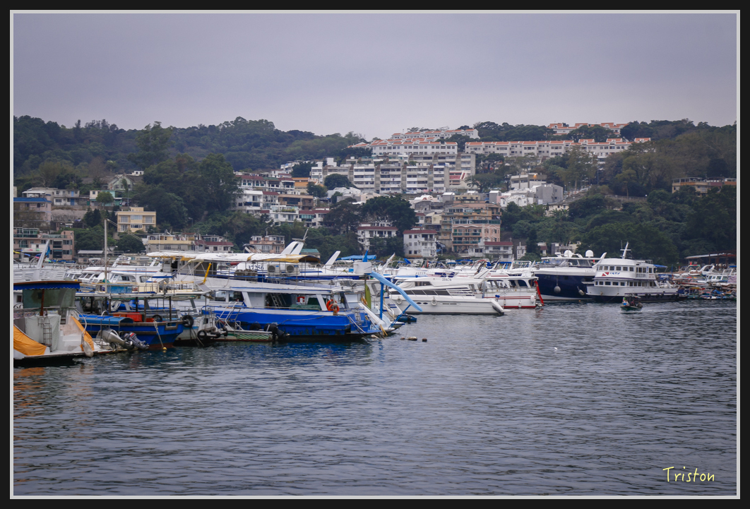 00261.jpg - 20170107 香港健行