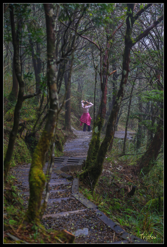 JH1A0168.jpg - 20151024~25 幾米公園、翠峰湖、翠峰山屋、望洋山步道、山毛櫸步道