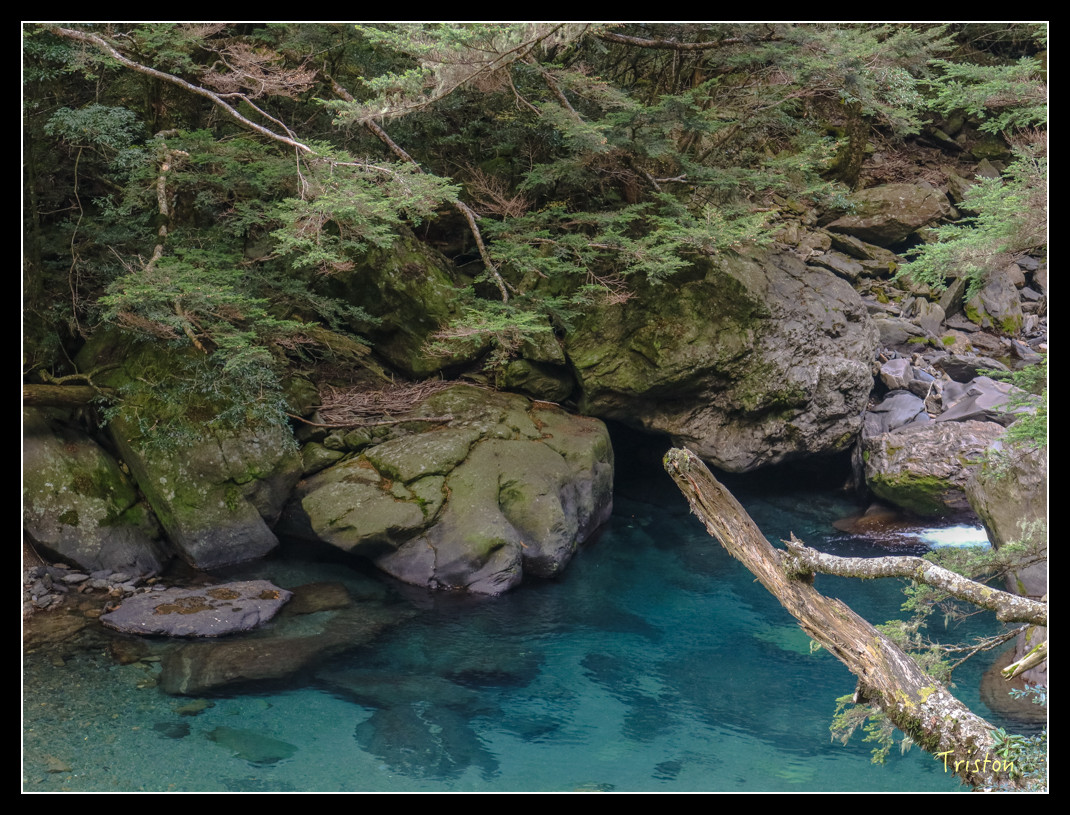 IMG_0967.jpg - 20151205 合歡溪步道、108K楓之谷