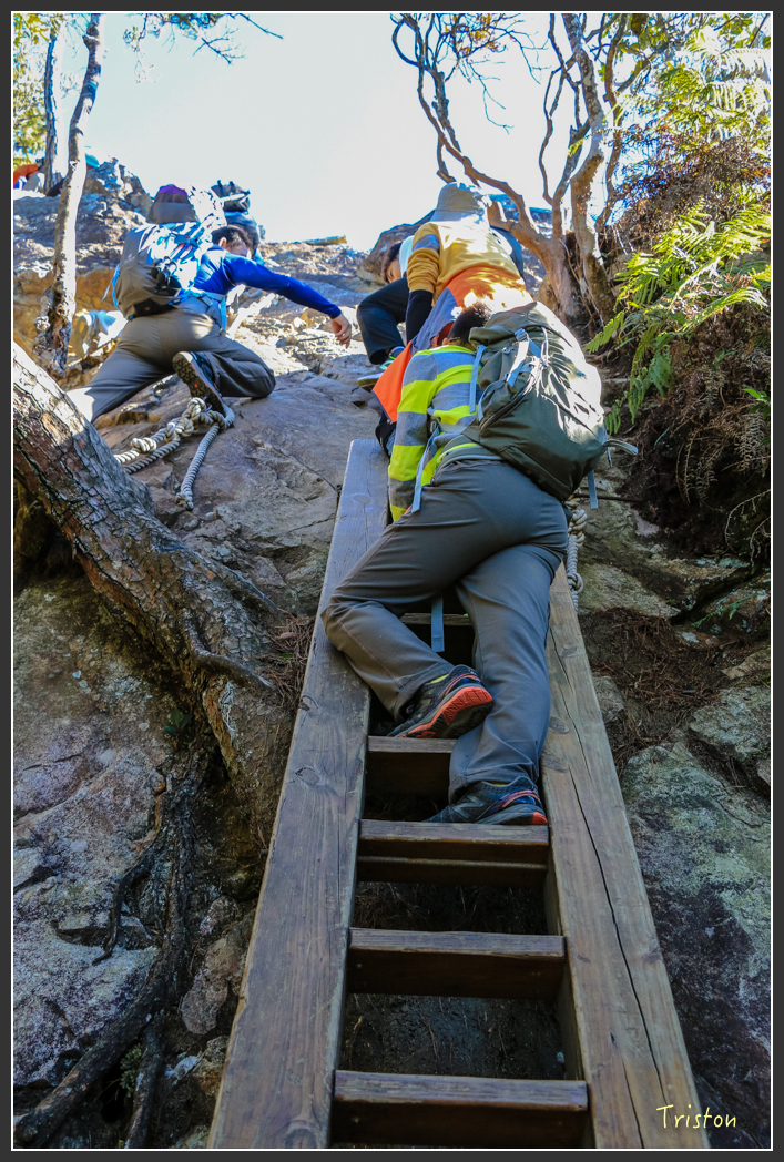 IMG_0466.jpg - 20151219 鳶嘴稍來山、小雪山林道