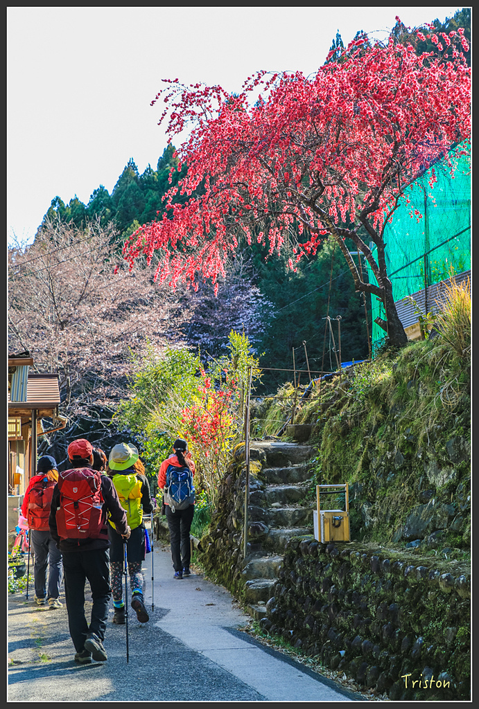 IMG_4977.jpg - 20160323 日本熊野古道健行