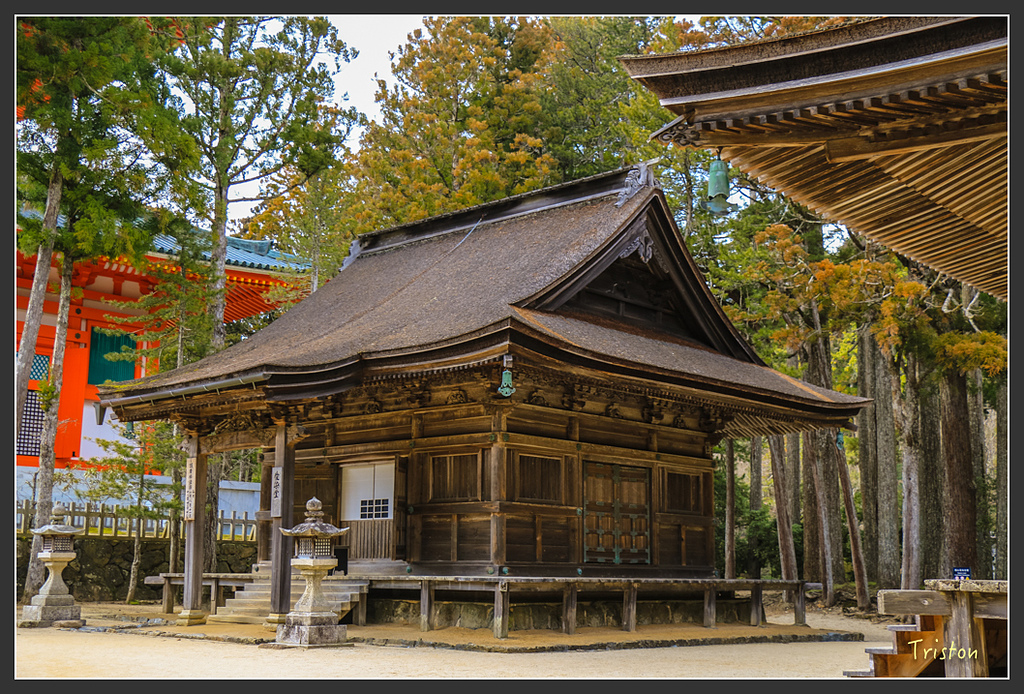 IMG_4544.jpg - 20160323 日本熊野古道健行