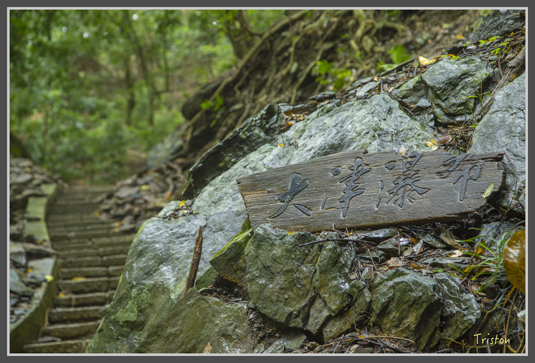 JH1A1922.jpg - 20160725 大津瀑布