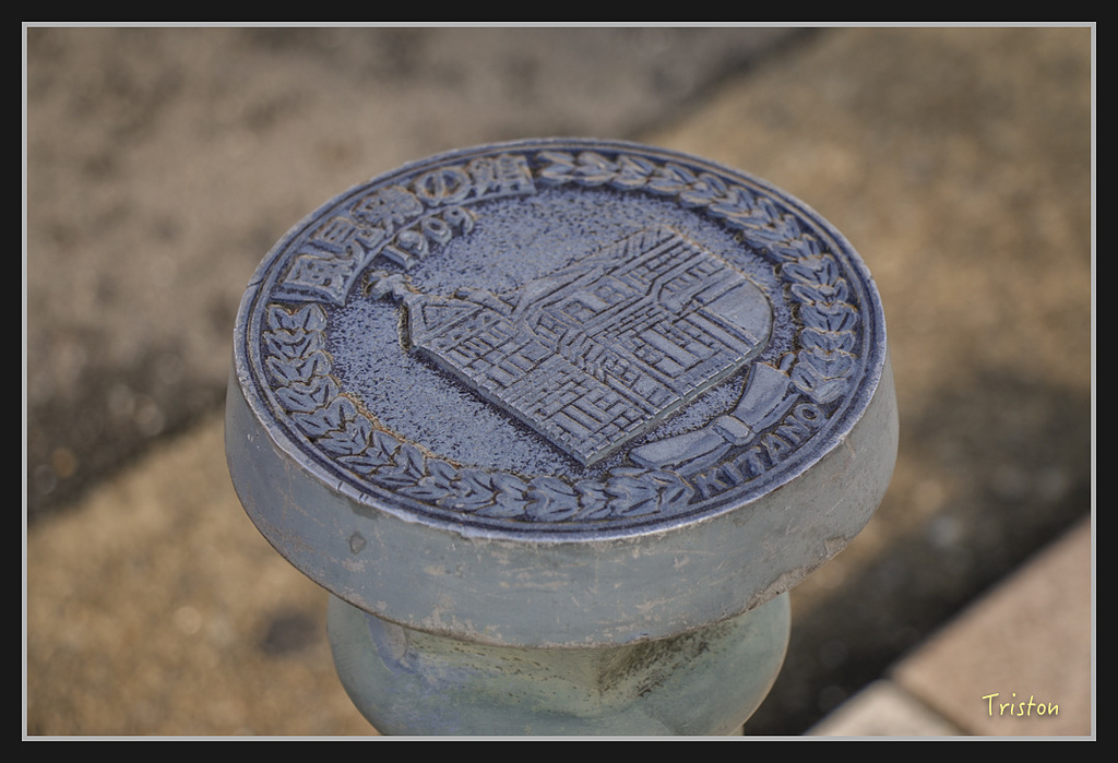 Canon-119.jpg - 20170120 大阪神戶親子遊 