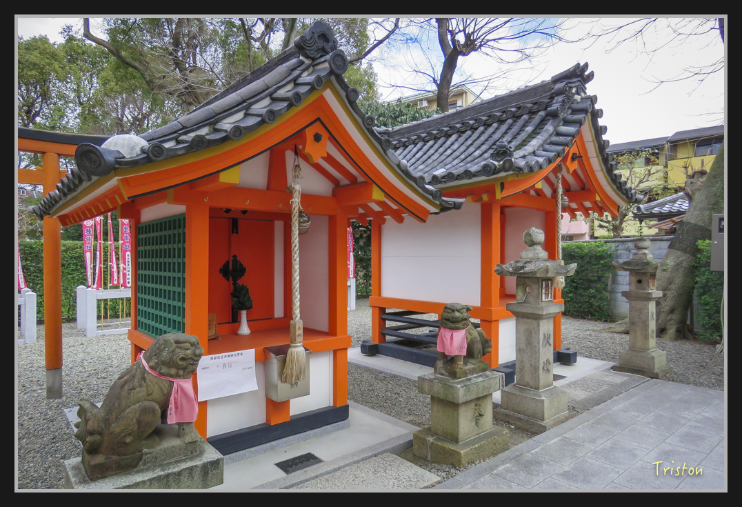 Canon-975.jpg - 20170120 大阪神戶親子遊