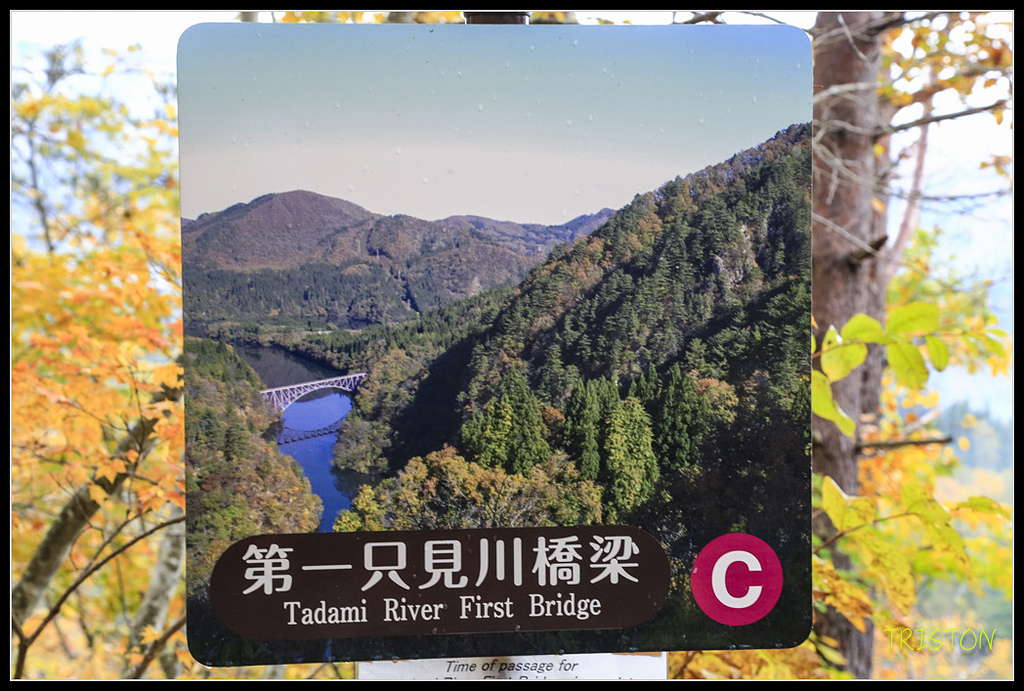 _H1A0439.jpg - 20171103 日本只見線、會津若松五色沼、昭和記念公園賞紅葉