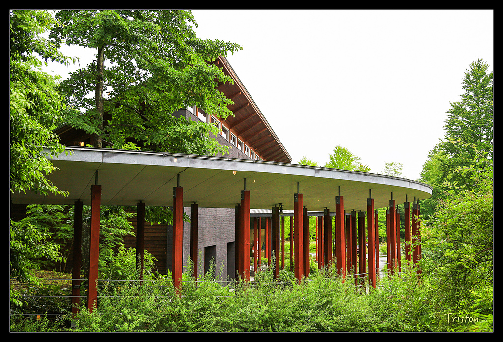 JH1A9559.jpg - 20150628 東京輕井澤日光