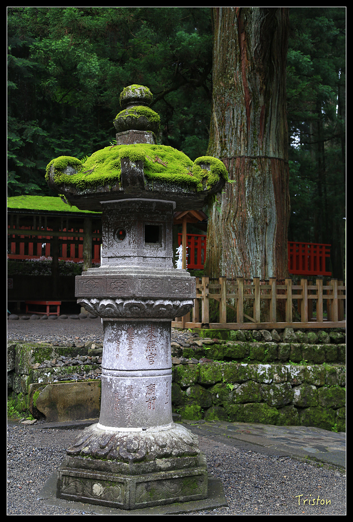 JH1A9955.jpg - 20150628 東京輕井澤日光