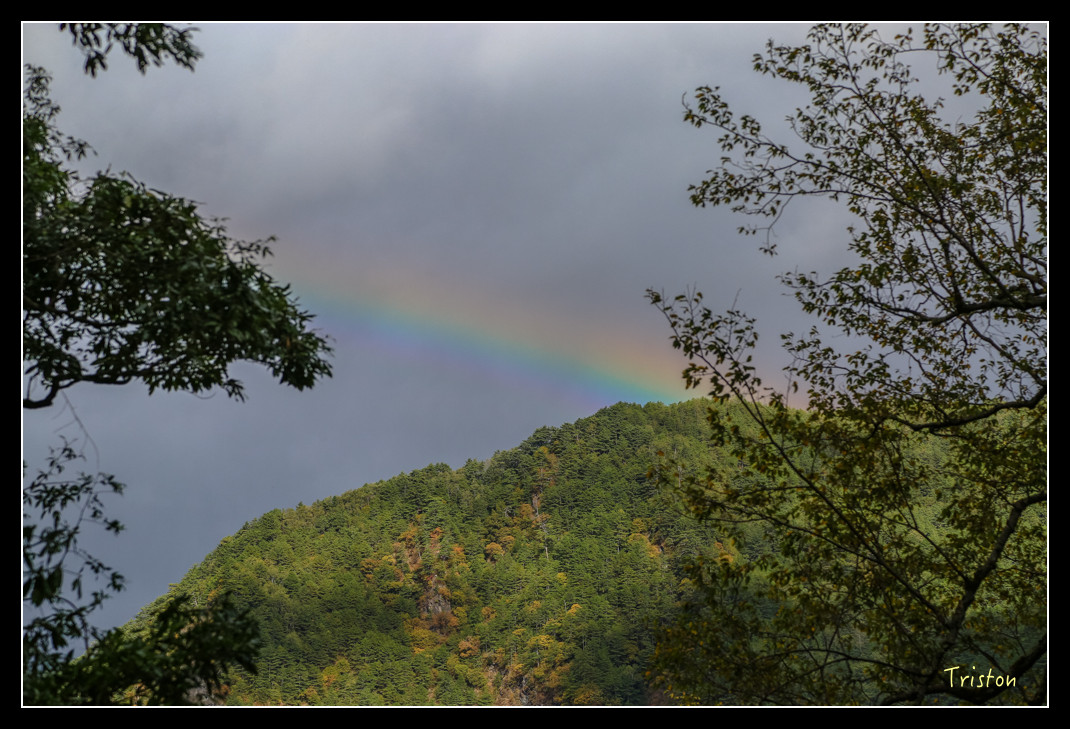 JH1A1010.jpg - 20151205 合歡溪步道、108K楓之谷