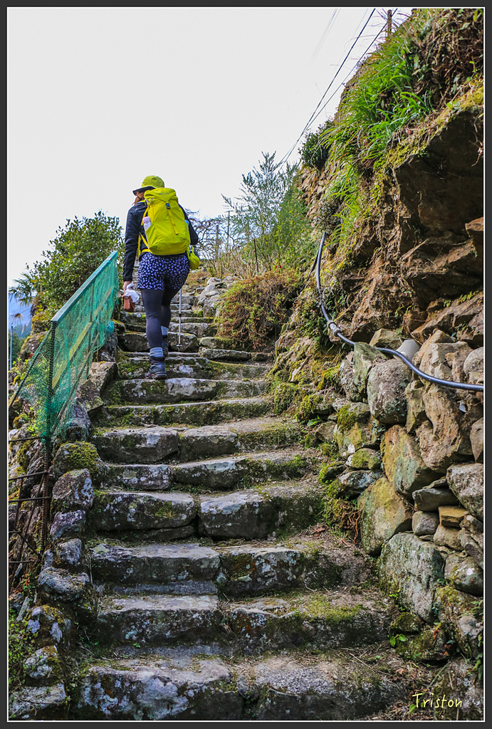 IMG_5303.jpg - 20160323 日本熊野古道健行