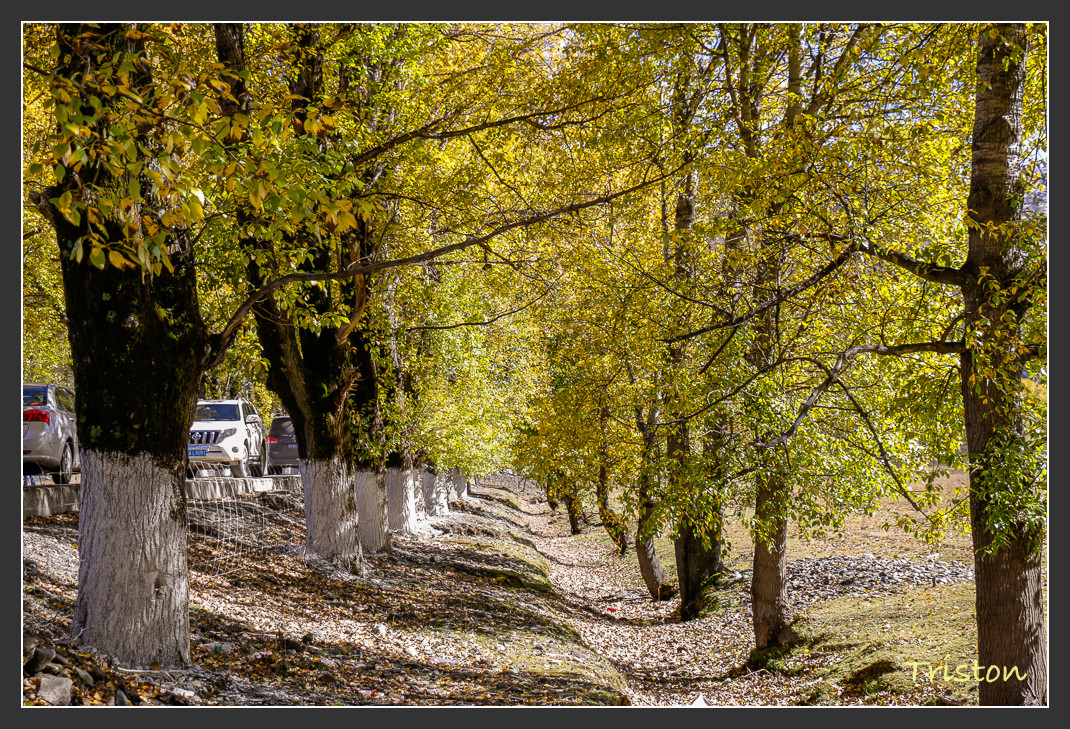 _MG_1307.jpg - 20161013 稻城亞丁