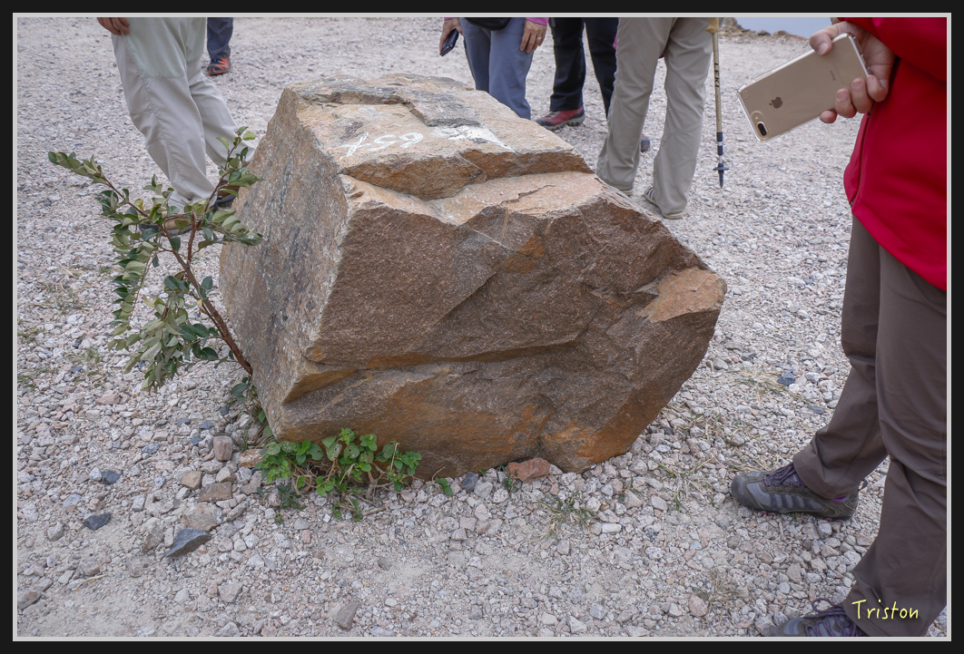 00312.jpg - 20170107 香港健行