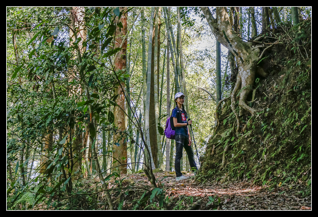 _MG_0072.jpg - 20170408 瑞太古道