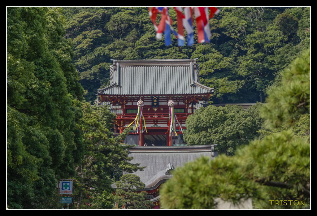 _MG_1609.jpg - 20170702 靜岡東海道之旅