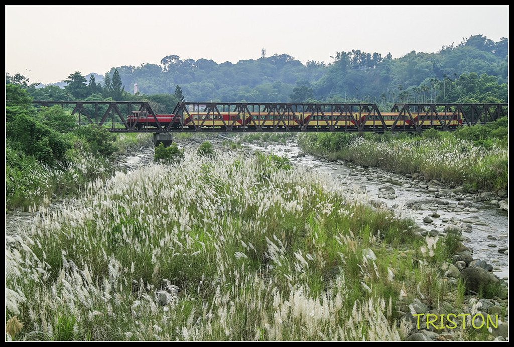 _H1A7464.jpg - 20170923 竹崎牛稠溪鐵橋火車