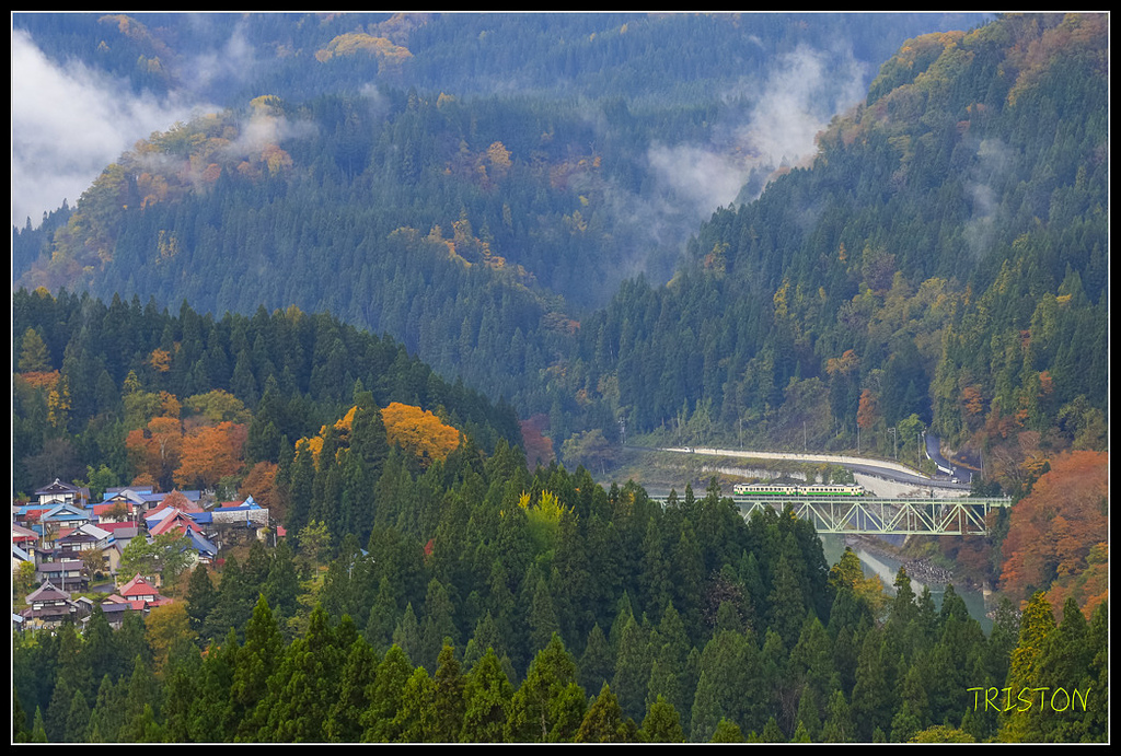 _H1A0514.jpg - 20171103 日本只見線、會津若松五色沼、昭和記念公園賞紅葉