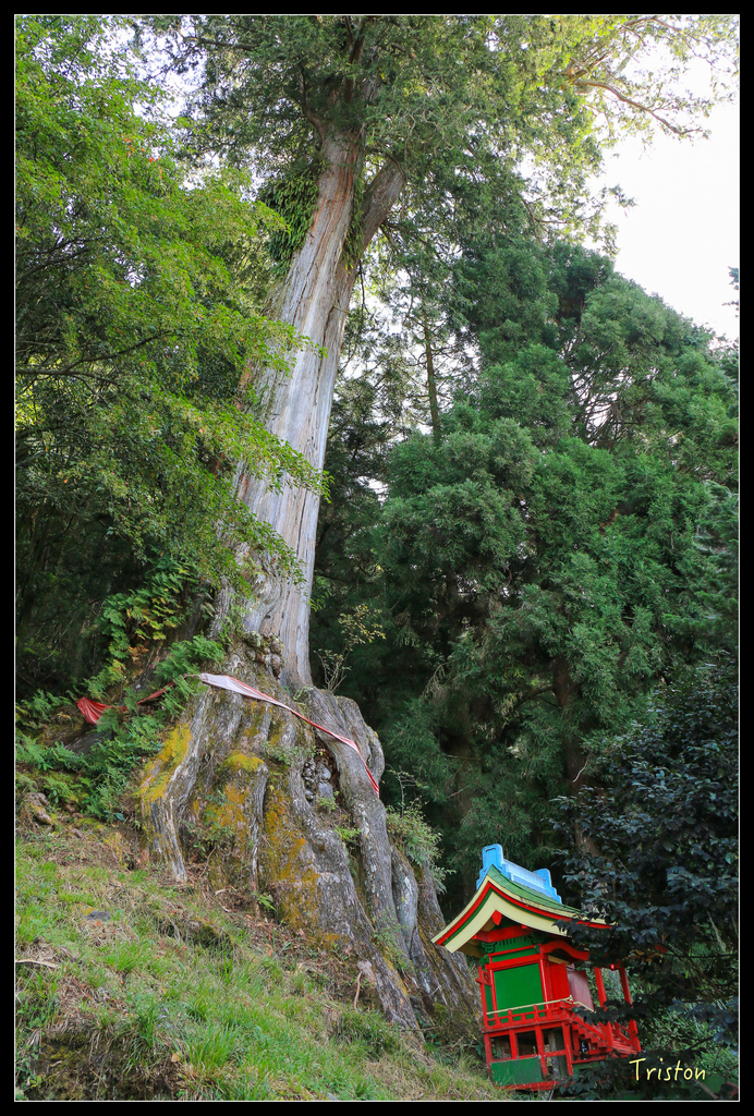 IMG_8584.jpg - 20151017 郡大林道、望鄉山、郡大山