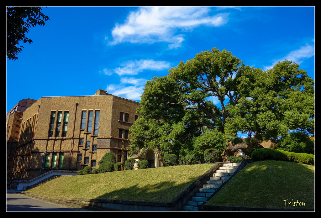 DSC00197.jpg - 20151031 秋天的童話-貴婦東京輕井澤紀行