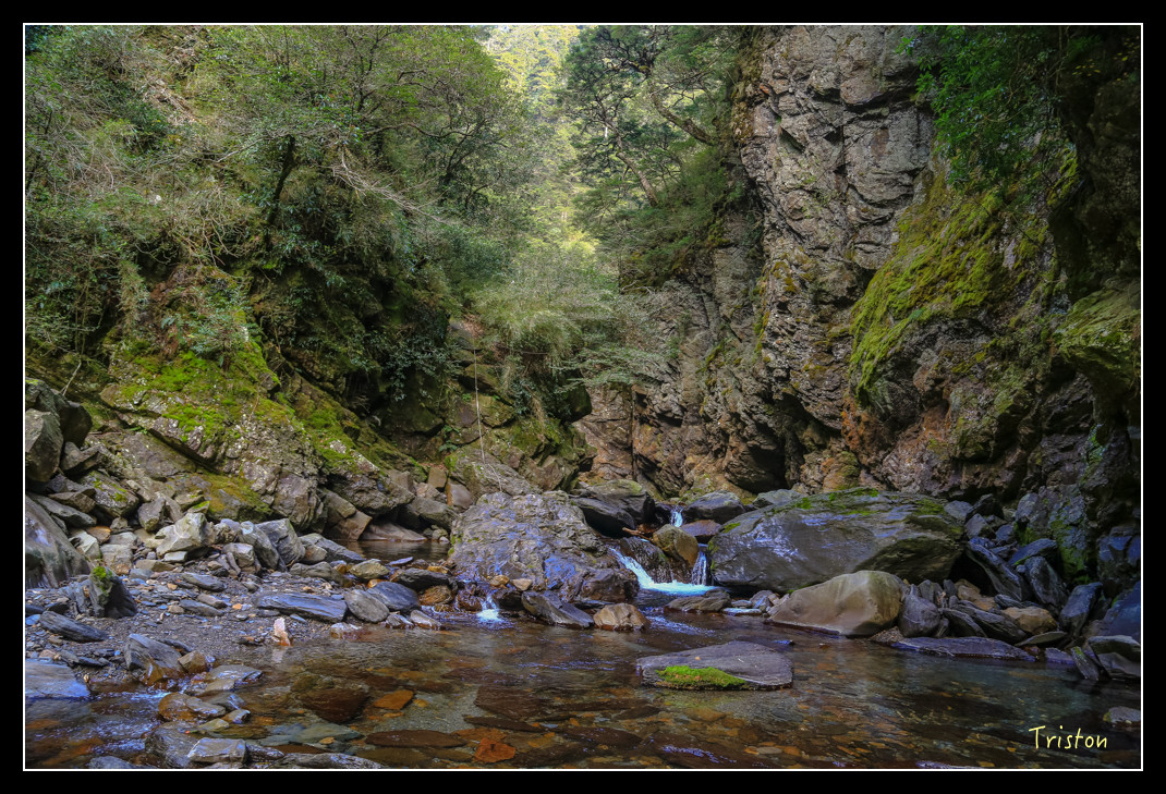 JH1A0800.jpg - 20151205 合歡溪步道、108K楓之谷