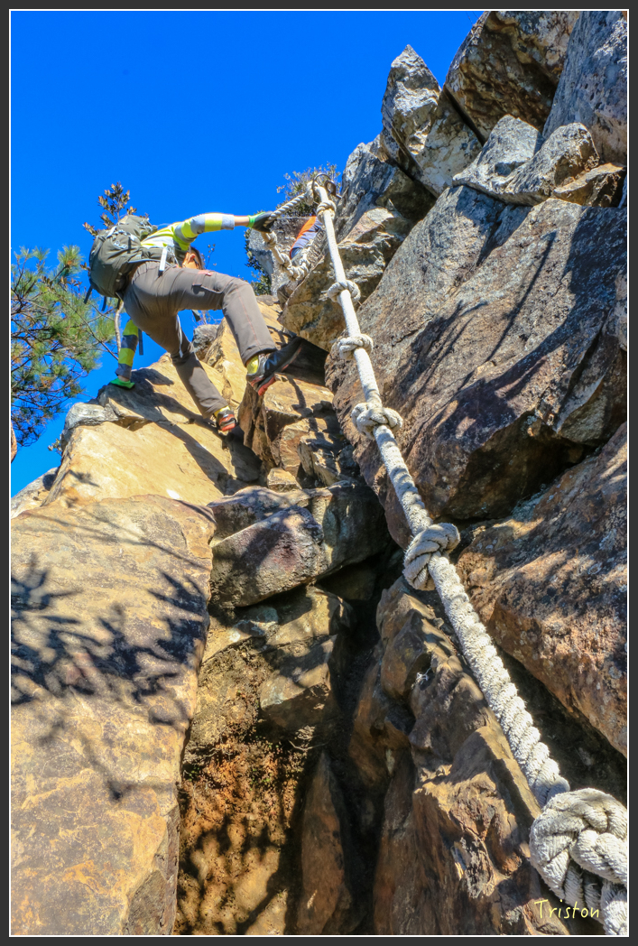 IMG_0494.jpg - 20151219 鳶嘴稍來山、小雪山林道