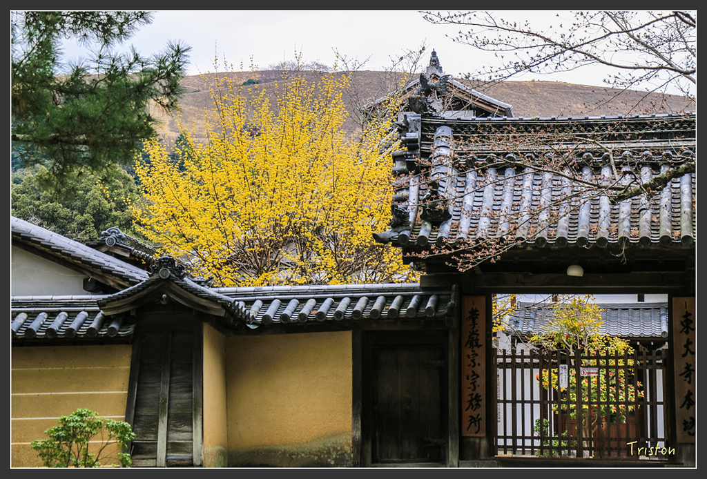 IMG_4327.jpg - 20160323 日本熊野古道健行