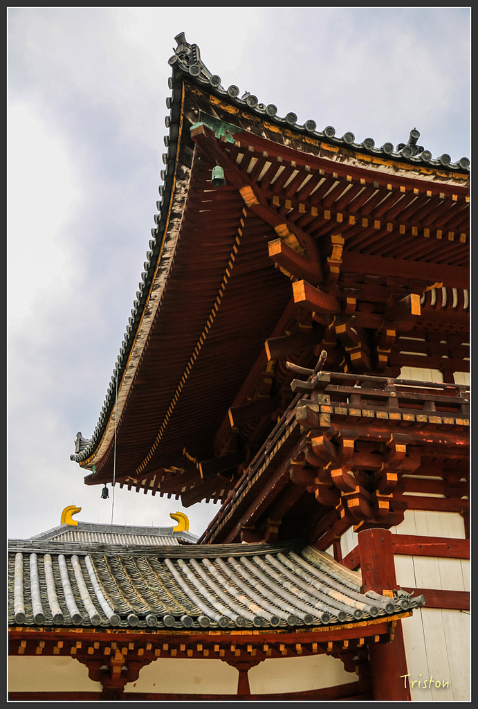 IMG_4337.jpg - 20160323 日本熊野古道健行