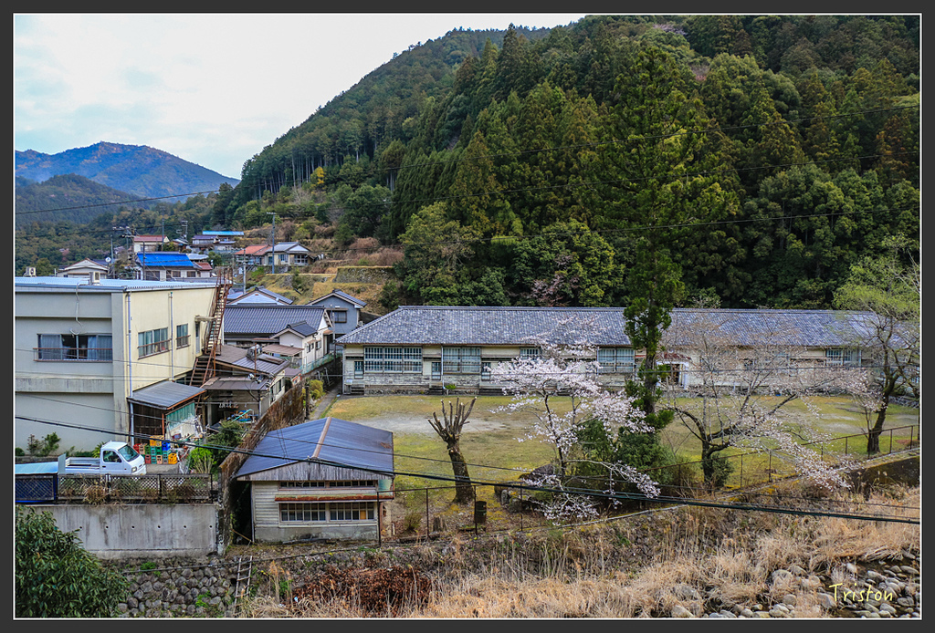 IMG_5301.jpg - 20160323 日本熊野古道健行