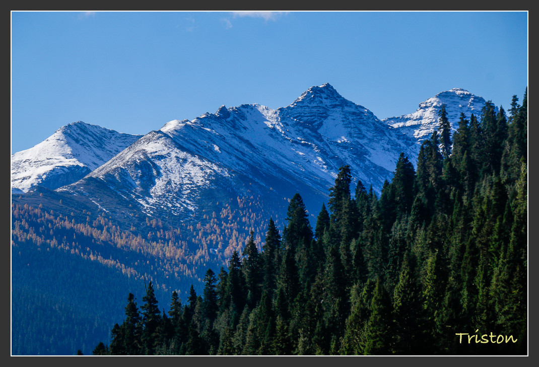 _MG_0500.jpg - 20161013 稻城亞丁