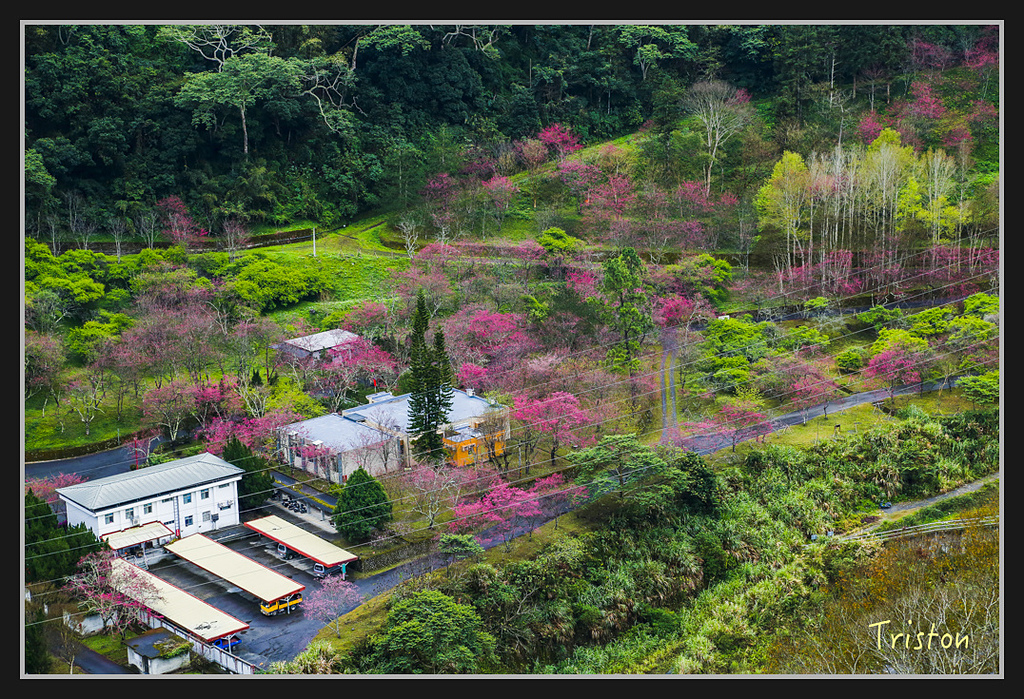 _H1A2126.jpg - 20170212 武界 萬大電廠 奧萬大