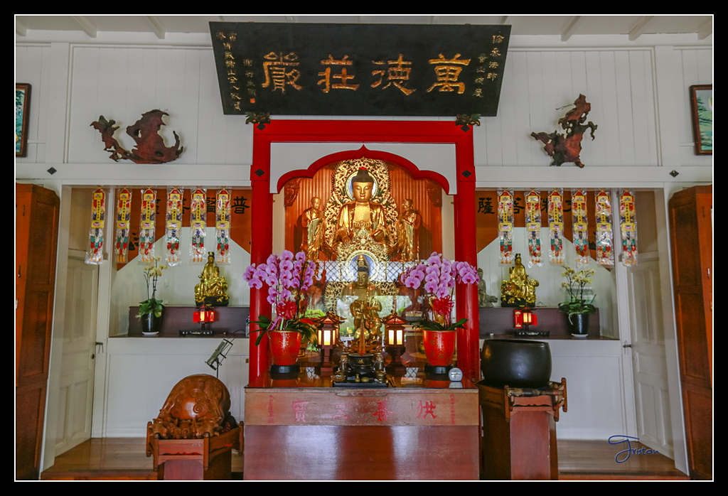 _H1A3747.jpg - 20170425 阿里山+圓潭螢火蟲