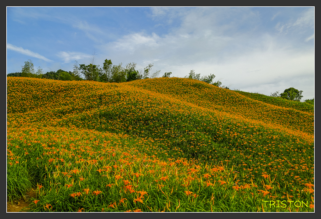 _H1A6606.jpg - 20170901 戀戀台九線