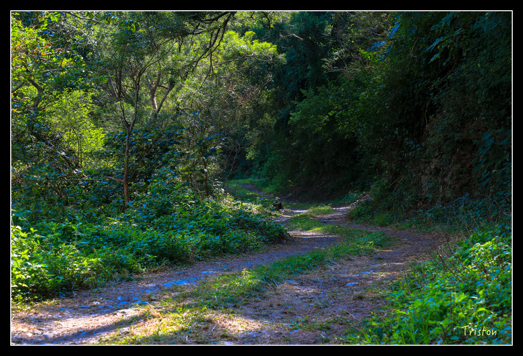 IMG_9472.jpg - 20151202 老七佳部落