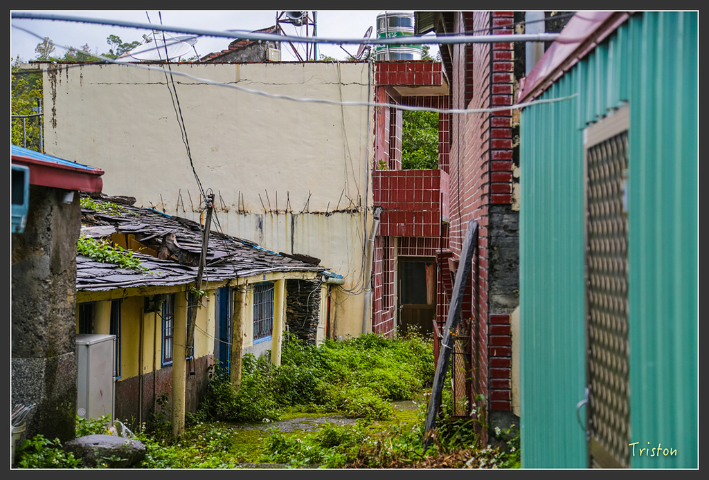 JH1A8210.jpg - 20160111 吉露、阿禮部落