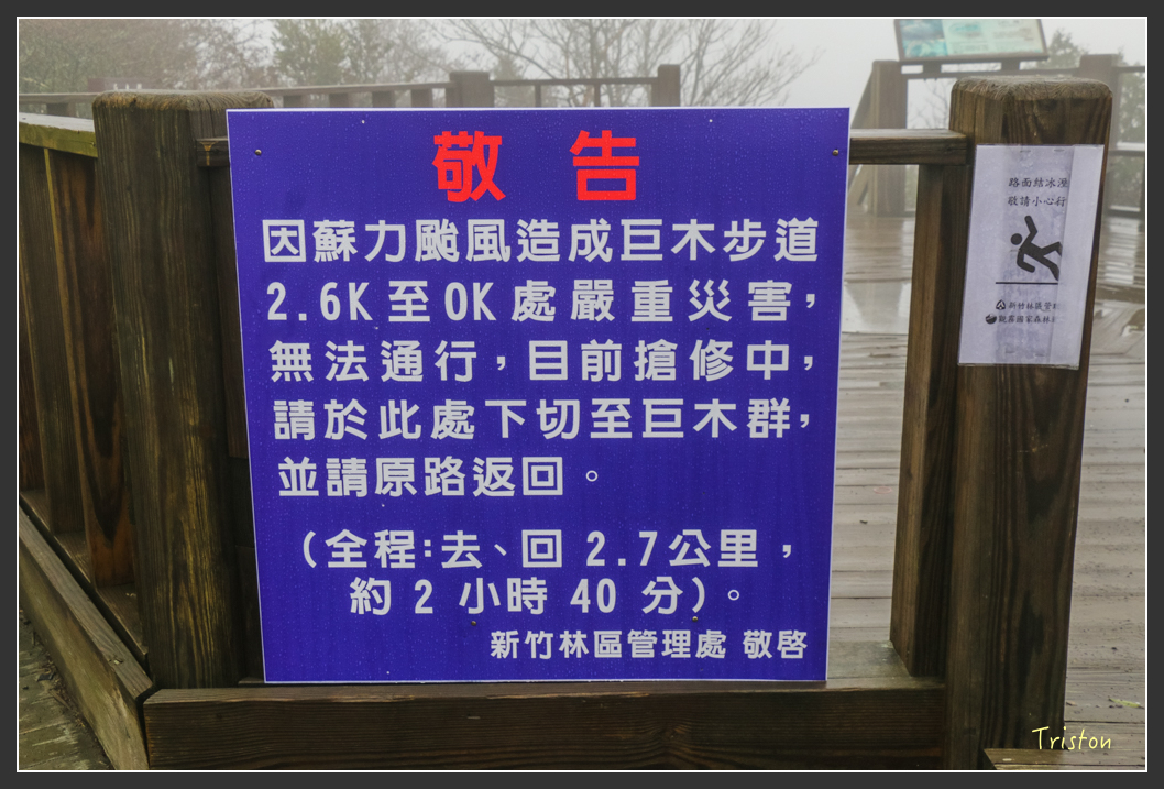 IMG_3251.jpg - 20160227 觀霧森林步道