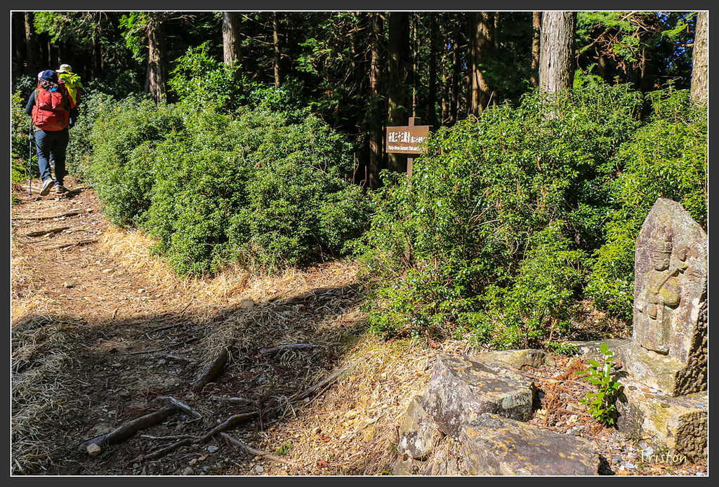 IMG_4714.jpg - 20160323 日本熊野古道健行