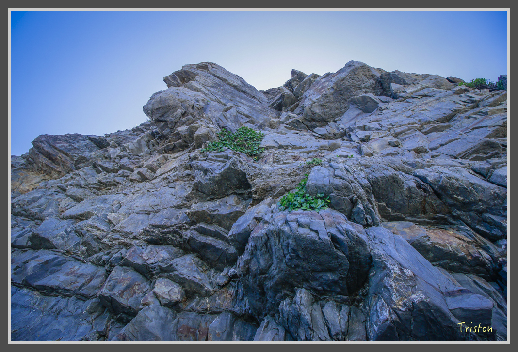 _MG_8473.jpg - 20160618 阿朗壹古道