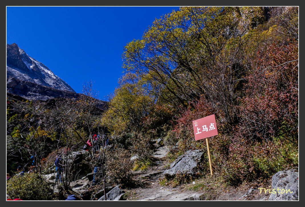 _MG_1761.jpg - 20161013 稻城亞丁