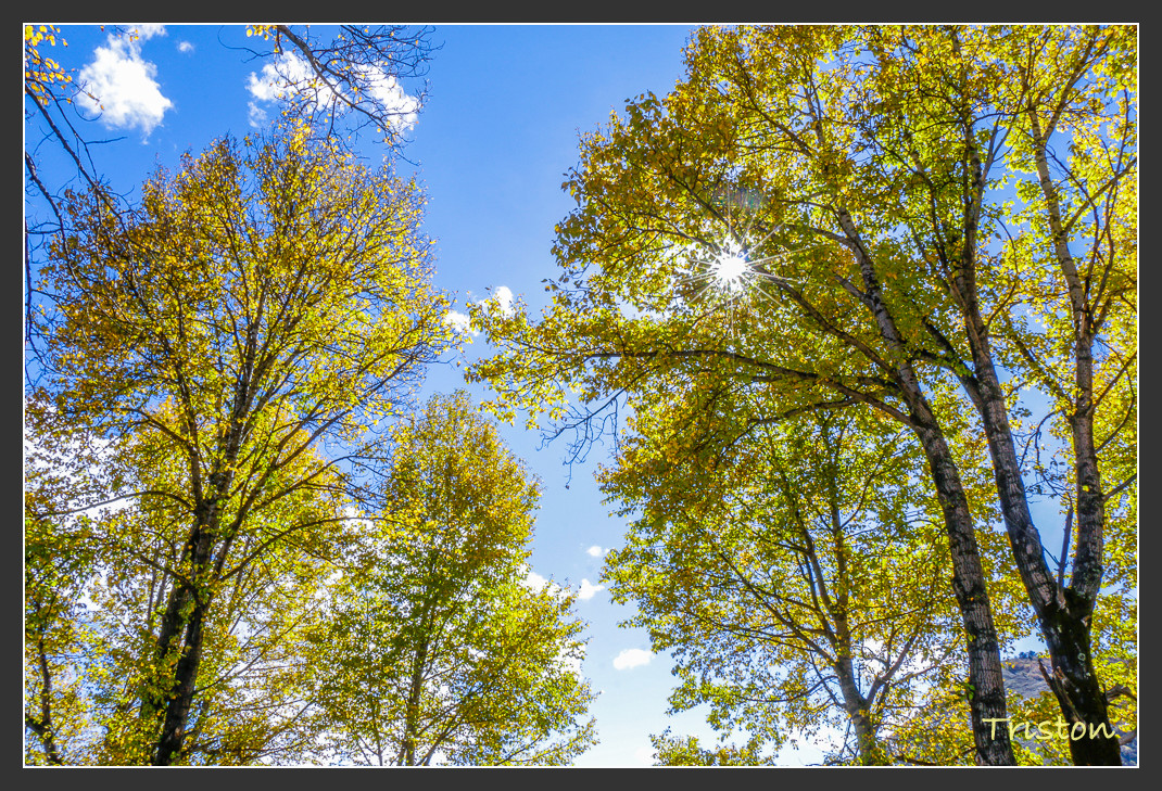 _MG_1306.jpg - 20161013 稻城亞丁