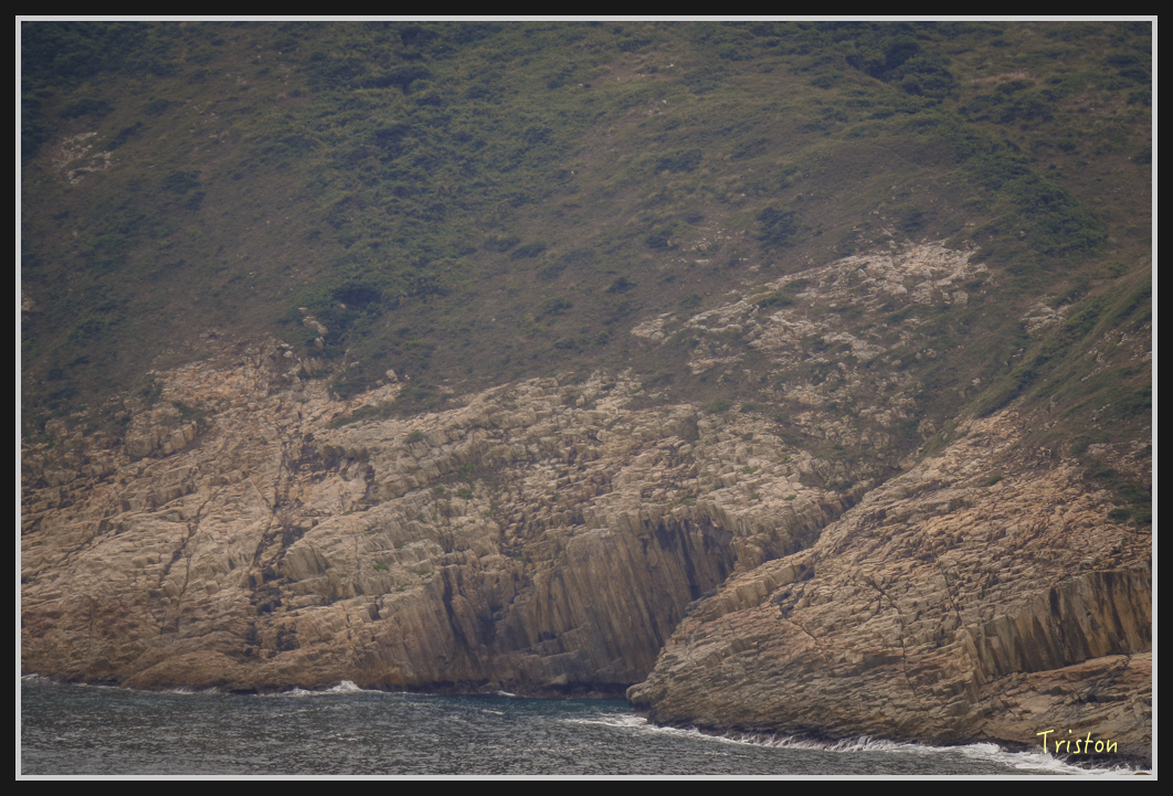 00322.jpg - 20170107 香港健行