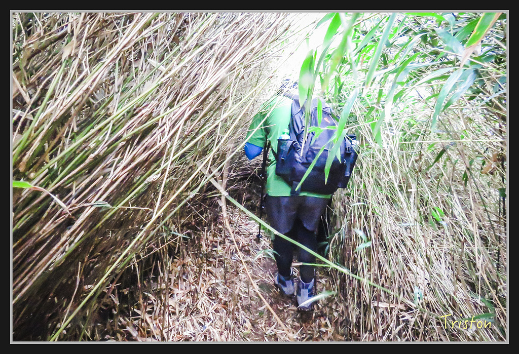 IMG_1411.jpg - 20170318 守關山、守城大山