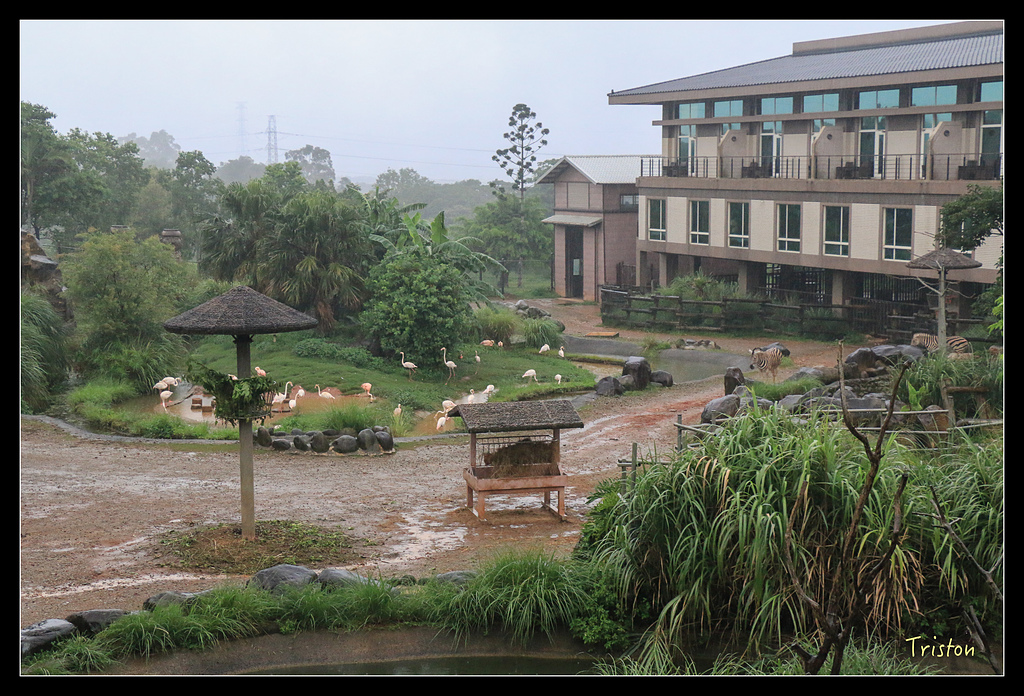 IMG_8114.jpg - 20150717 台北兒童新樂園 六福村