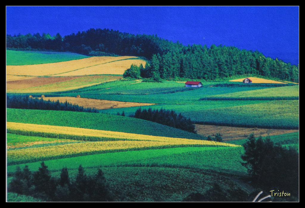 jh1a8721_21933858245_o.jpg - 20011002 北海道蜜月旅行