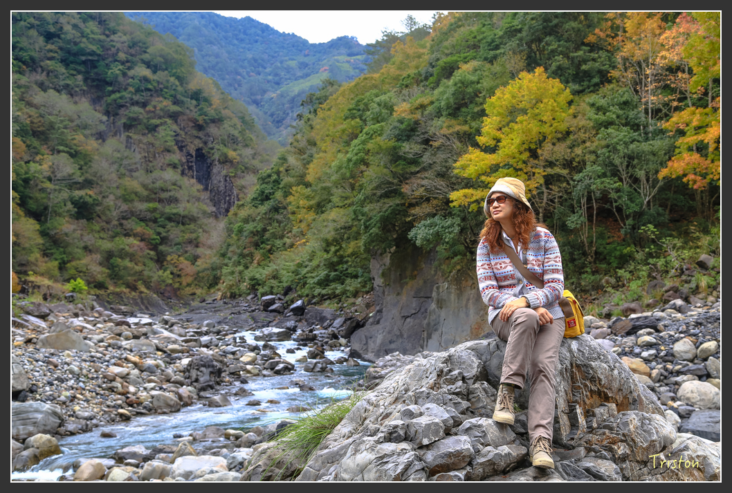 JH1A1451.jpg - 20151221 新竹秀巒賞楓